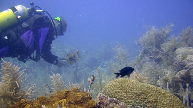 PACN I&M trained staff perform monitoring in War in the Pacific National Historical Park 