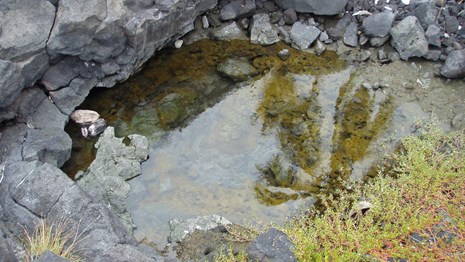 An anchialine pool in Pu‘uhonua O Hōnaunau National Historical Park