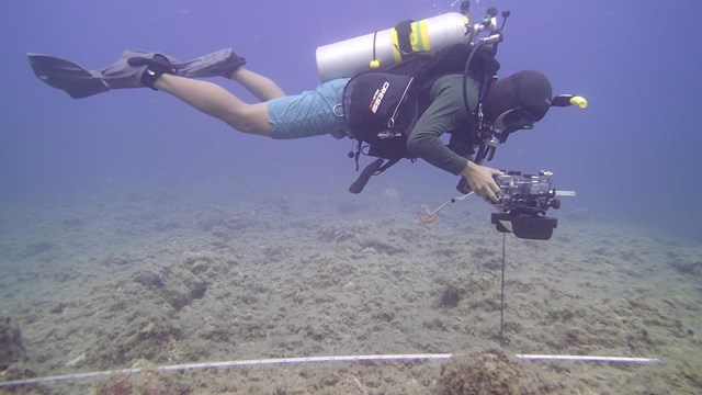 PACN I&M staff performs monitoring of marine benthic vital signs
