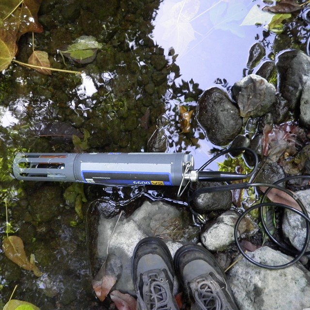 Fresh water quality monitoring in a stream in Haleakalā National Park