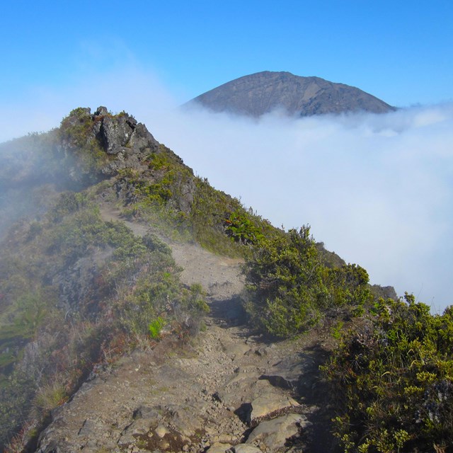 Observing alpine climate at Haleakalā National Park