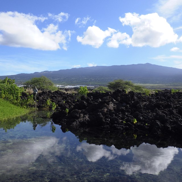 On of many anchialine pools and cultural sites at Kaloko-Honokōhau National Historical Park with dev