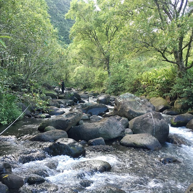 Stream monitoring in Kalaupapa National Historical Park