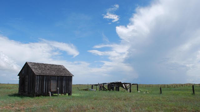 An old wooden building and fence in the grasslands with blue sky and clouds above.