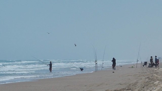 A group of people fishing along the beach. 