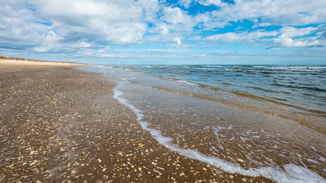 Shell fragments lay on the beach at the waters edge. 