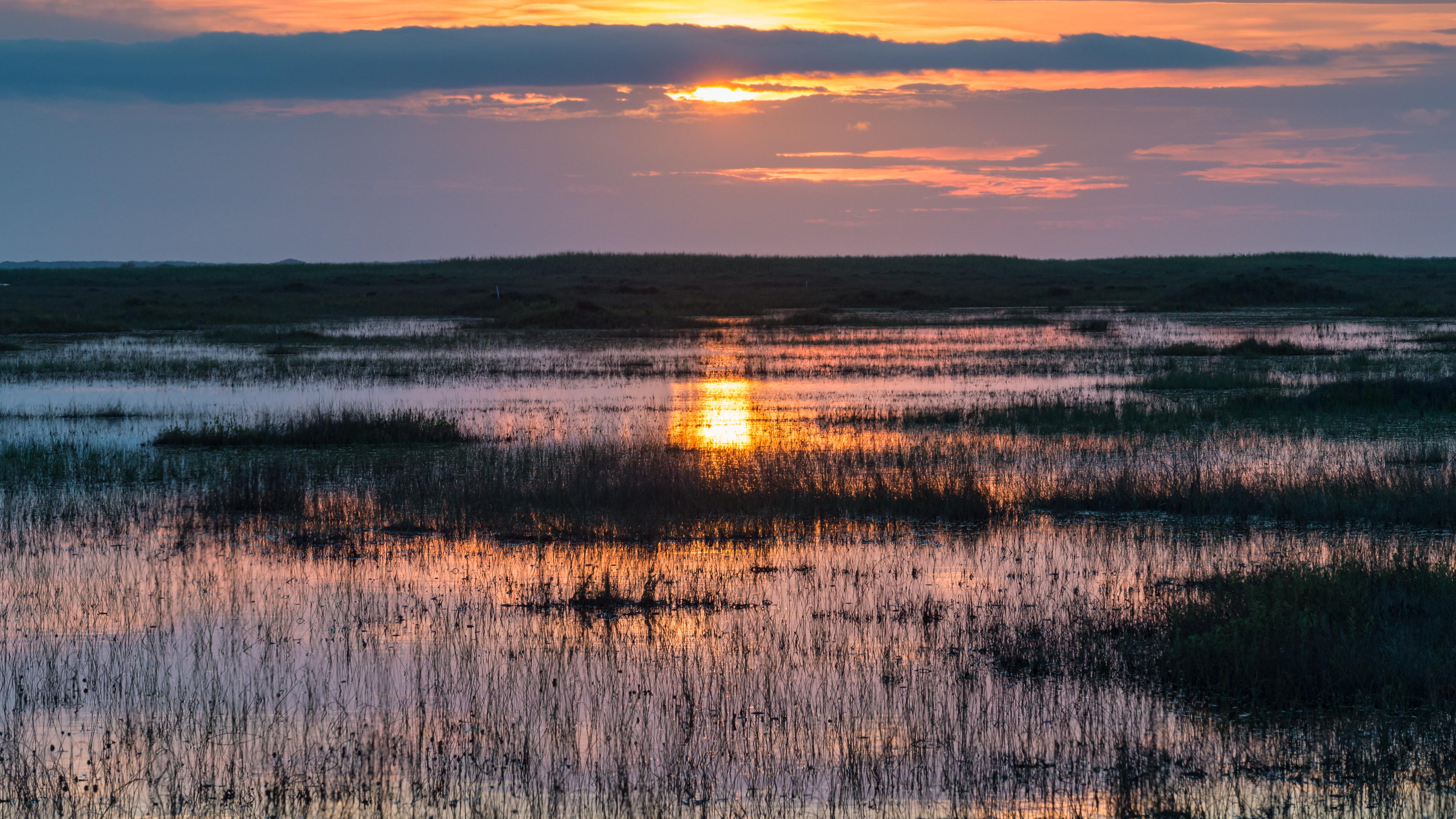 The sunset reflects off of a flooded grassland. 