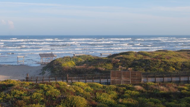 Photo from the webcam of the beach and waves with vegetated dunes in the foreground on a sunny day.