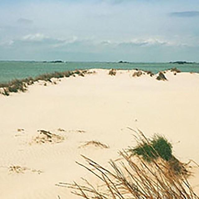 A sandy dune in the foreground with a body of water in the distance