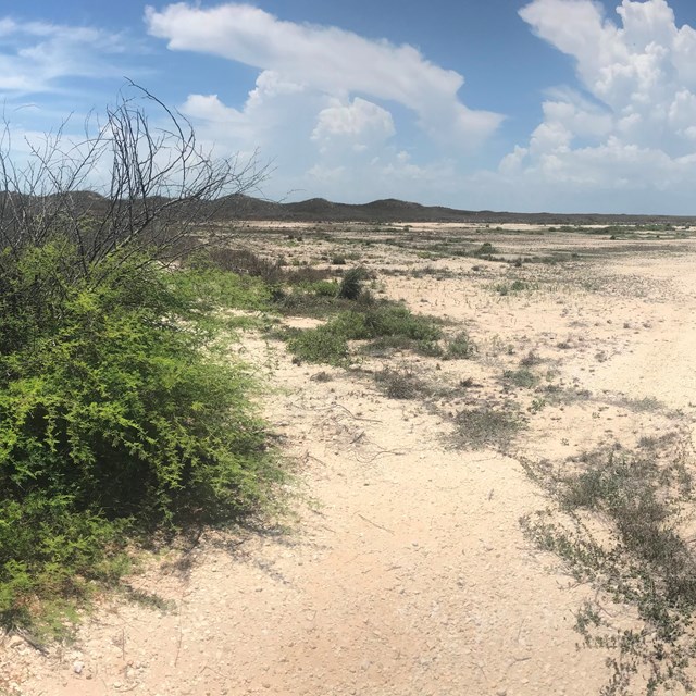 A barren dirt patch surrounded by grasslands. 