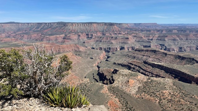 View overlooking the Grand Canyon from the Twin Point overlook.