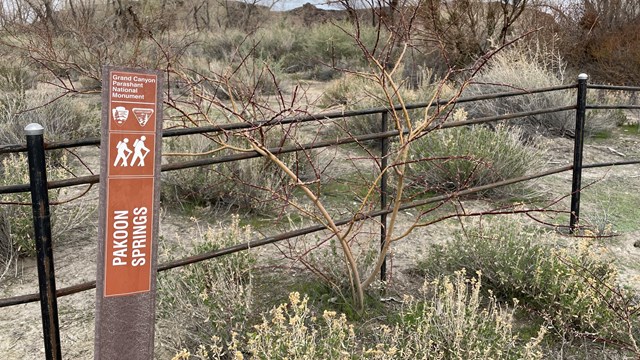 View of a trail sign for the Pakoon Springs area with agency logos and a hiking symbol. 