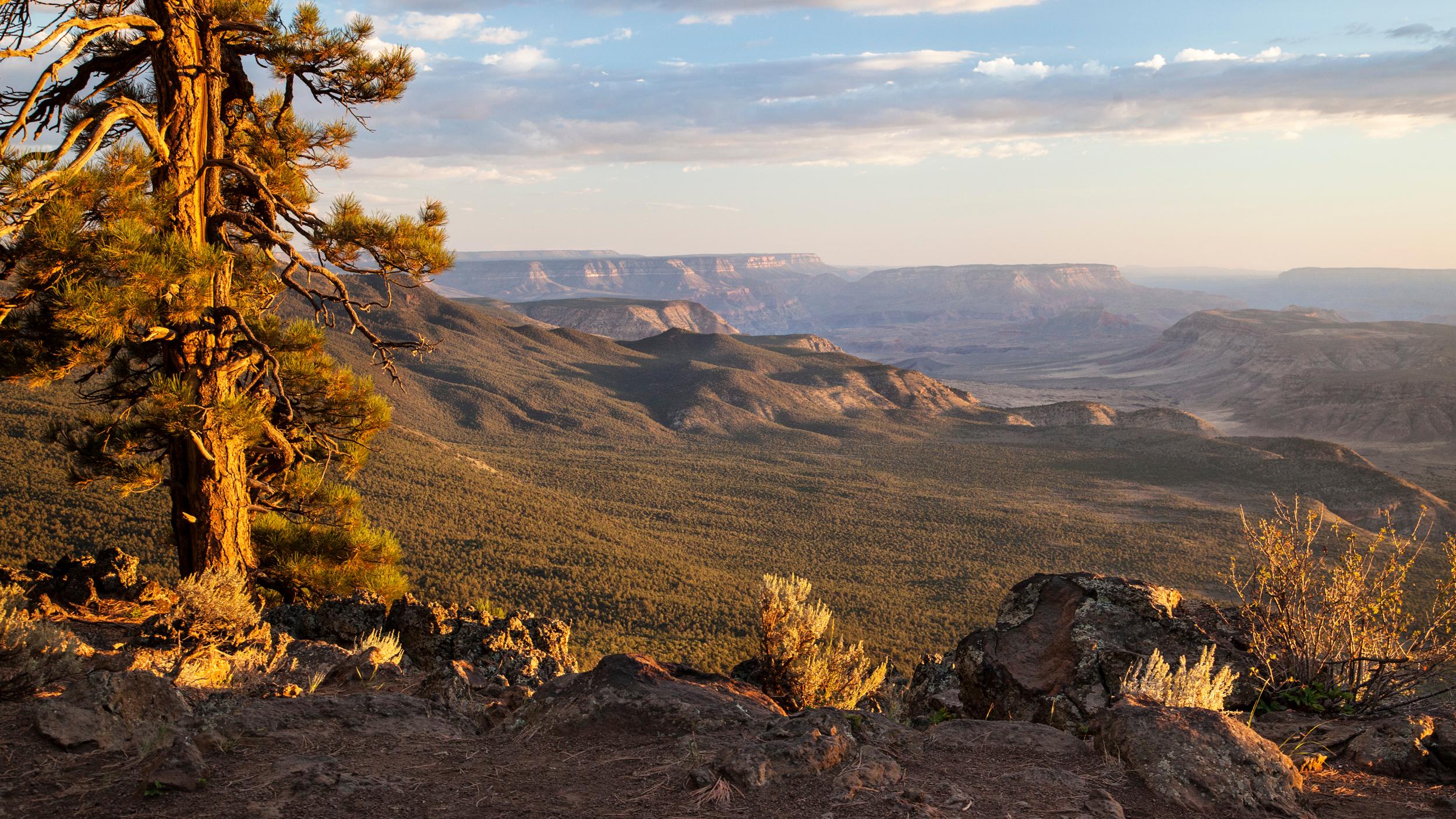 View of Whitmore Canyon from Mt. Logan