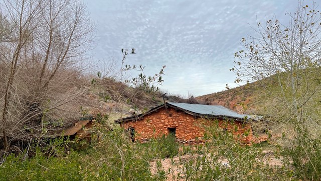 A red brick ranch house with cement roof surrounded by riparian vegatetion and trees.