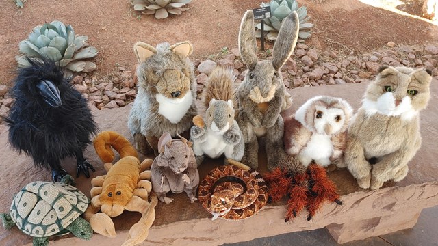 Collection of desert themed stuffed animals.  