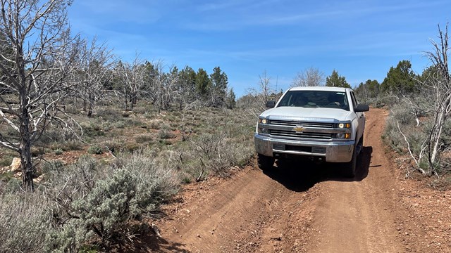 View of a large white 4x4 truck navigating a remote rutted road. 