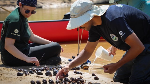 Researcher leaning forward while organizing mussels by species on the sand along Village Creek. Othe