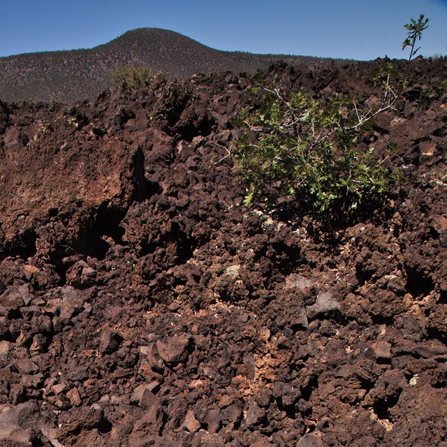 Dark basalt rock from a historic volcanic eruption.