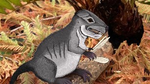 Artist rendering of Kataigidodon venetus eating a small insect. Drawing by Hannah Kligman.