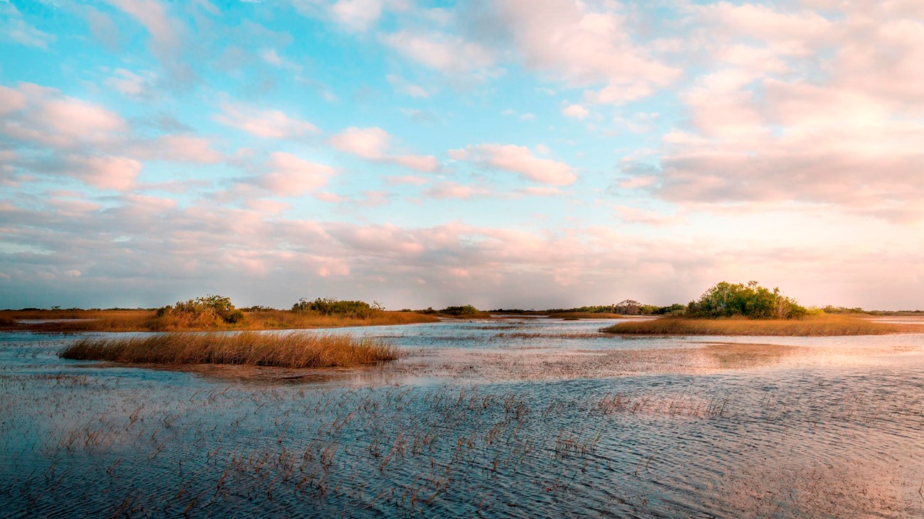 Tree islands rise out of wet landscape at sunset
