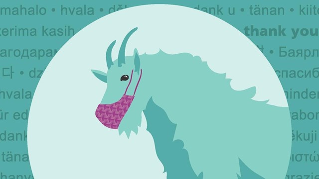 Illustration of a goat wearing a face mask