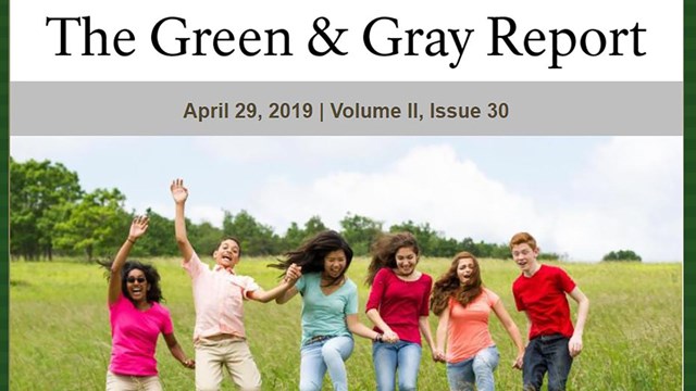screenshot of the Green & Gray Report