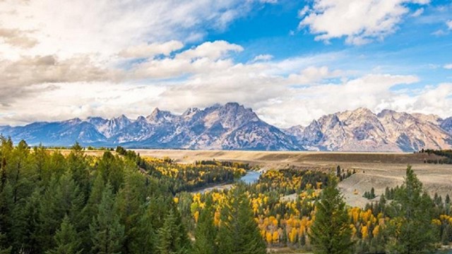 vista with trees in foreground and mountains in the distance under blue skies