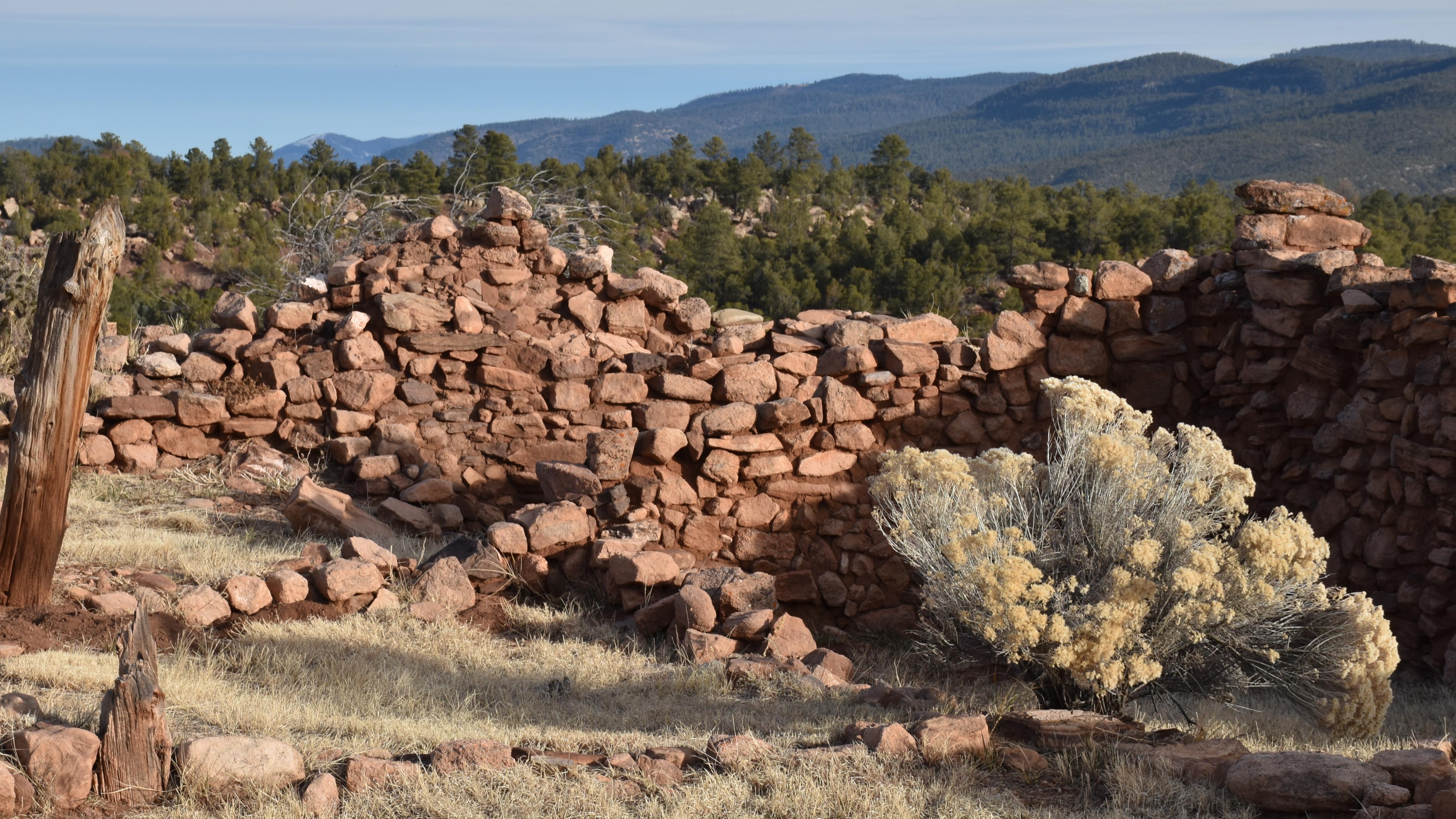 Stacked tan stone walls, mortared between. Ragged wooden remains of posts. Pale green bush on right.