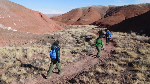 a group of four hikers wearing backpacks and warm jackets descend on a trail between red buttes.