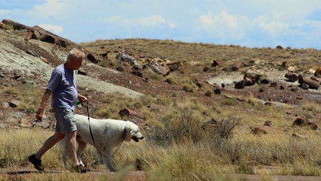 Taking a walk with the dog at Crystal Forest