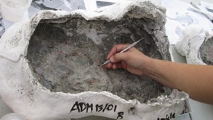 A scientist prepares a fossil in a plaster jacket.