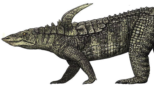 Pseudosuchian archosaurs 
