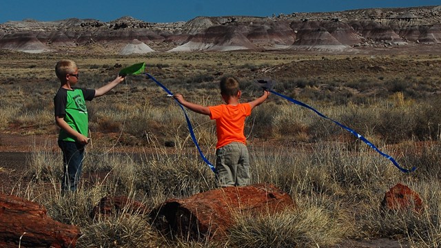 Kids flying kites among petrified logs