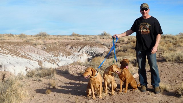 a man smiles and leads three golden retrievers through a trail with badlands in the background.