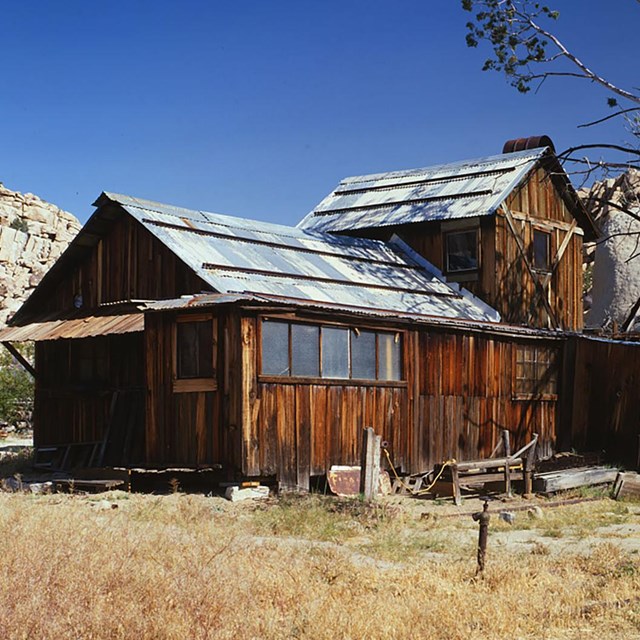 Joshua Tree Photographs