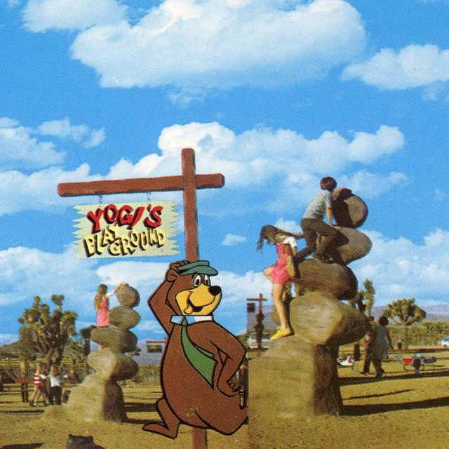 “Yogi's Playground” Postcard