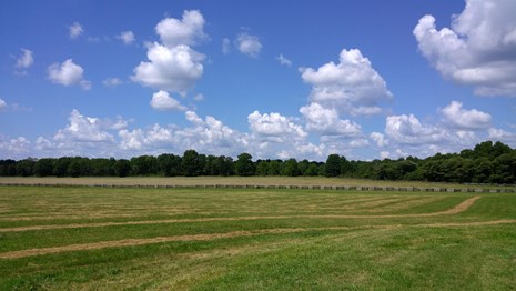 Photo of blue sky, big fluffy clouds and a green field