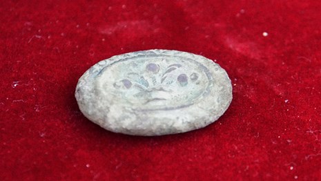 An unknown object shaped like a coin or button, on a red background.