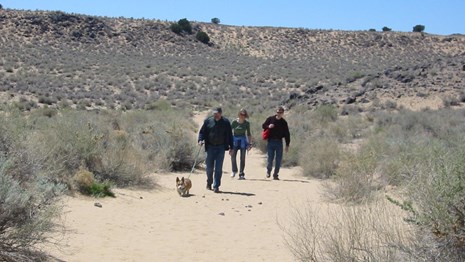 What to know if you bring your pet.