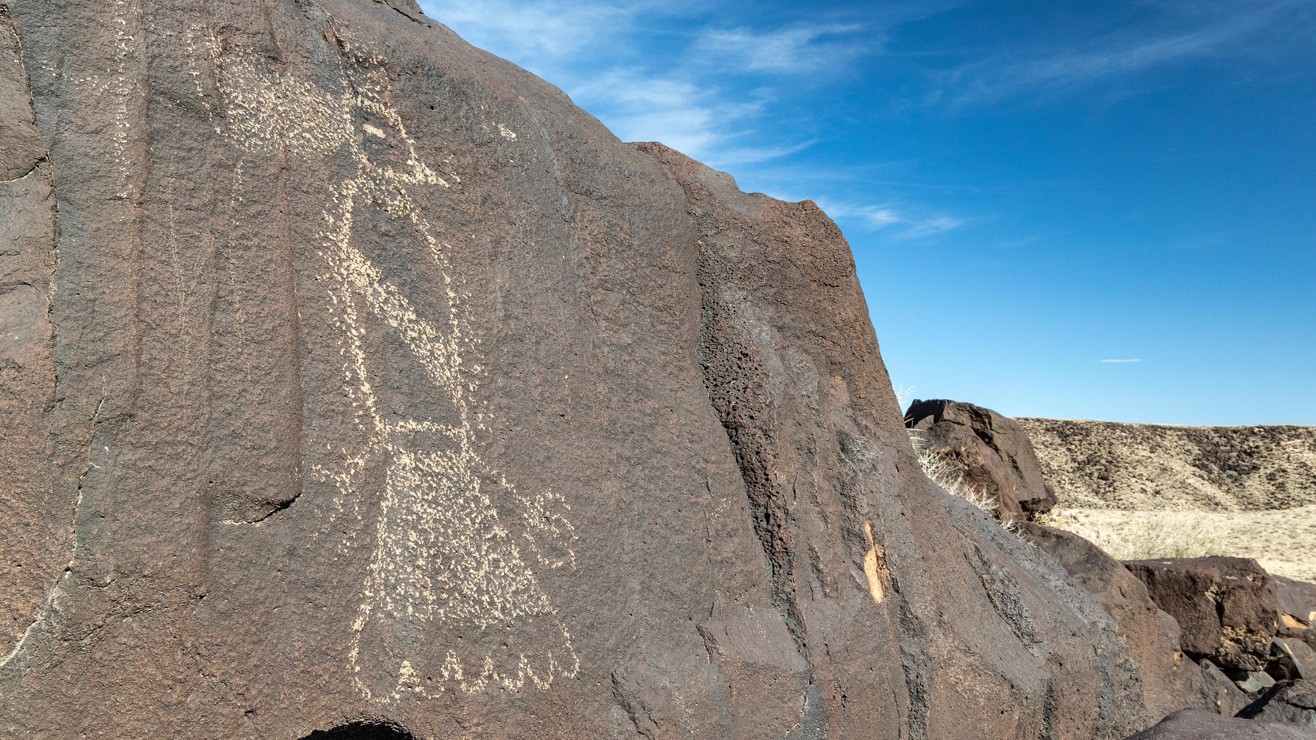 Petroglyph of a bird on a dark boulder in a volcanic landscape.