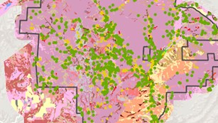 Capture of the Pinnacles vegetation map. Colors indicate different vegetation types.