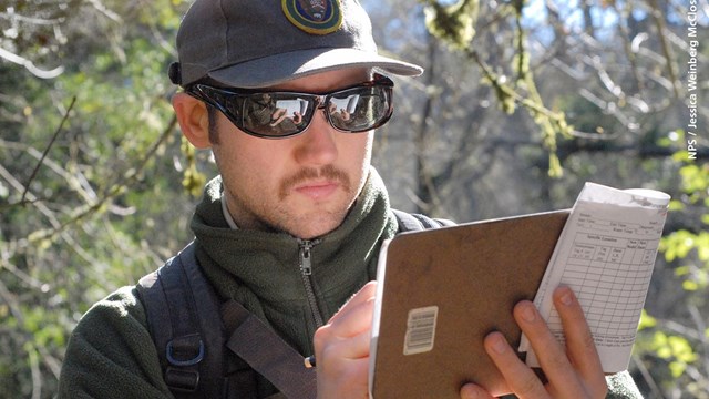 Photo of researcher taking a measurement during a coho salmon spawner surveys on Redwood Creek.