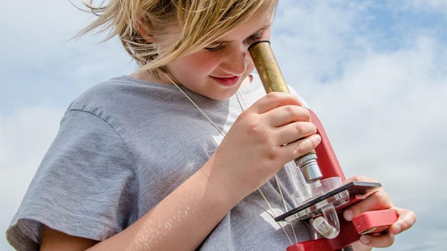 Child uses a field microscope to get a closer look at tiny wetland creatures.