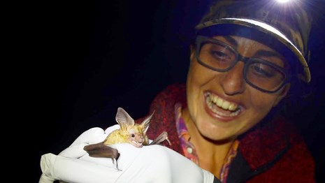 Biologist grins while handling a bat.