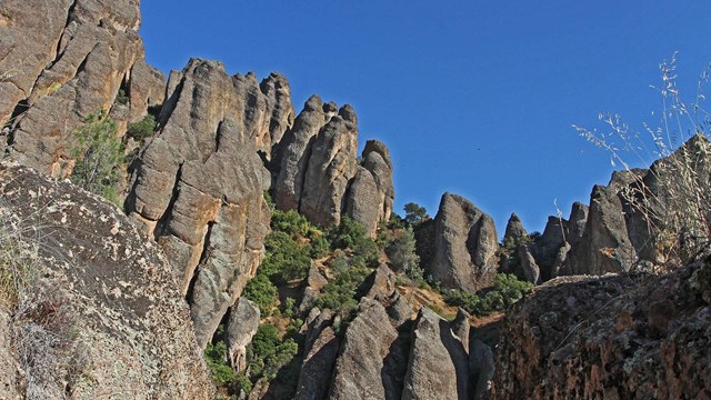 Vertical rock formations of Pinnacles set against a clear blue sky.