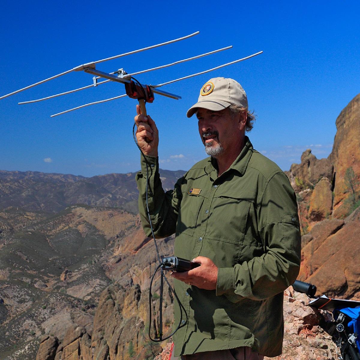 Volunteer tracking condors.