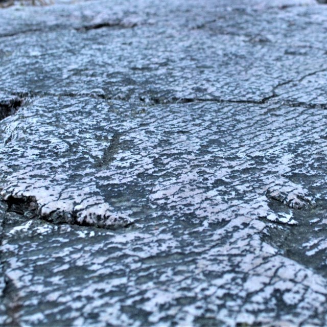 glacial striations on quartzite