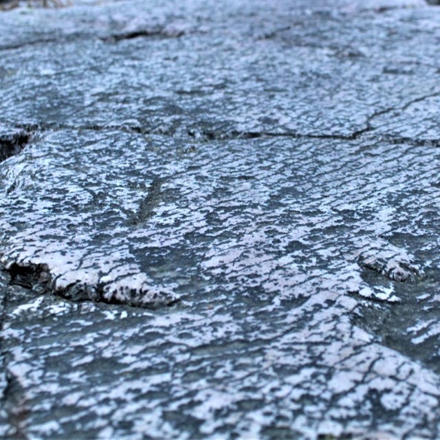 glacial striations on quartzite