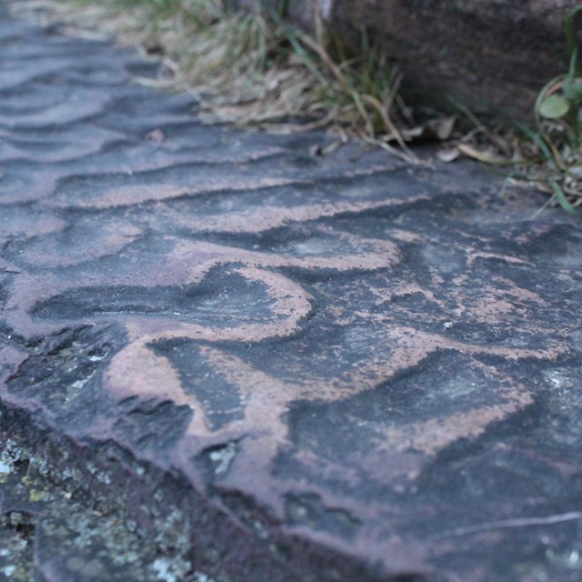 Ripple marks on a rock