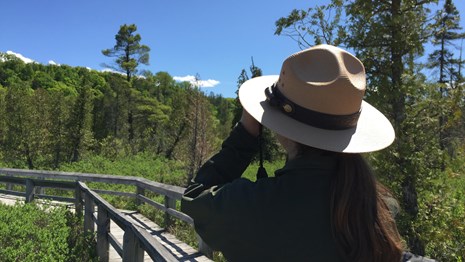 A park ranger wearing a flat hat looks down a wooden boardwalk with binoculars